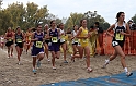 2010CIF XC GD3-0487